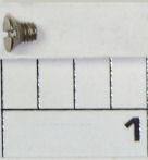 101-80ST Screw