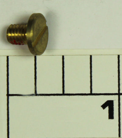 121-555 Screw, Bearing Screw (Brass)