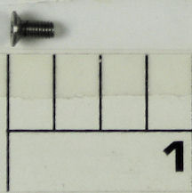 16-FTH20LW Screw, Bridge Screw