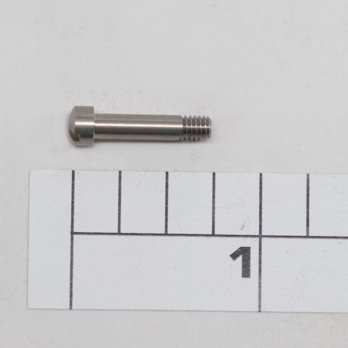 17-60-SS Screw, Upper/Lower Bridge Screw, Stainless Steel