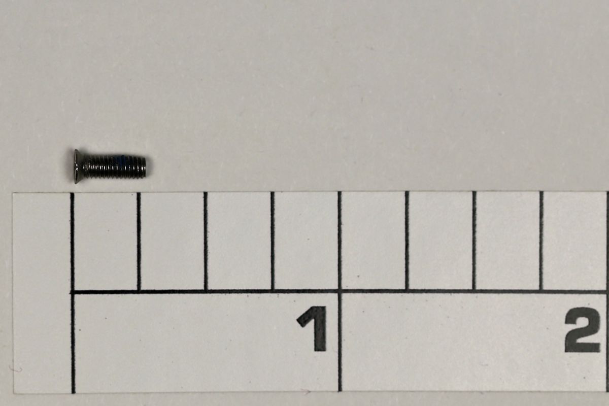 21A-1000SG Screw, Bearing Retainer Screw (uses 3)