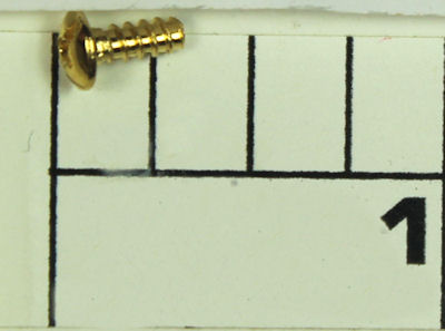 22-8000CV Screw, Cover Screw (uses 2)