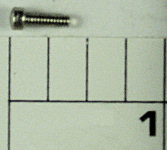 31-77 Stand Screw (Origional)