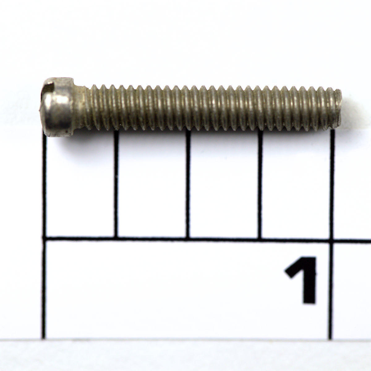 38-80 Screw