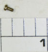 43F-1000AF Screw, Plate Screw