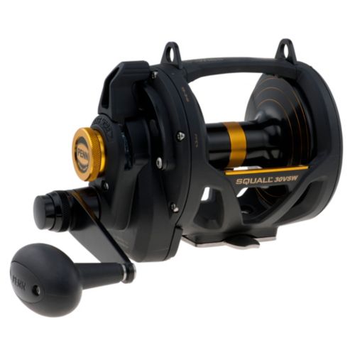 Penn SQL30VSW Squall Lever Drag 2 Speed Reel