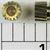 Older brass gear with same 16 tooth count, NOT the 15 tooth brass