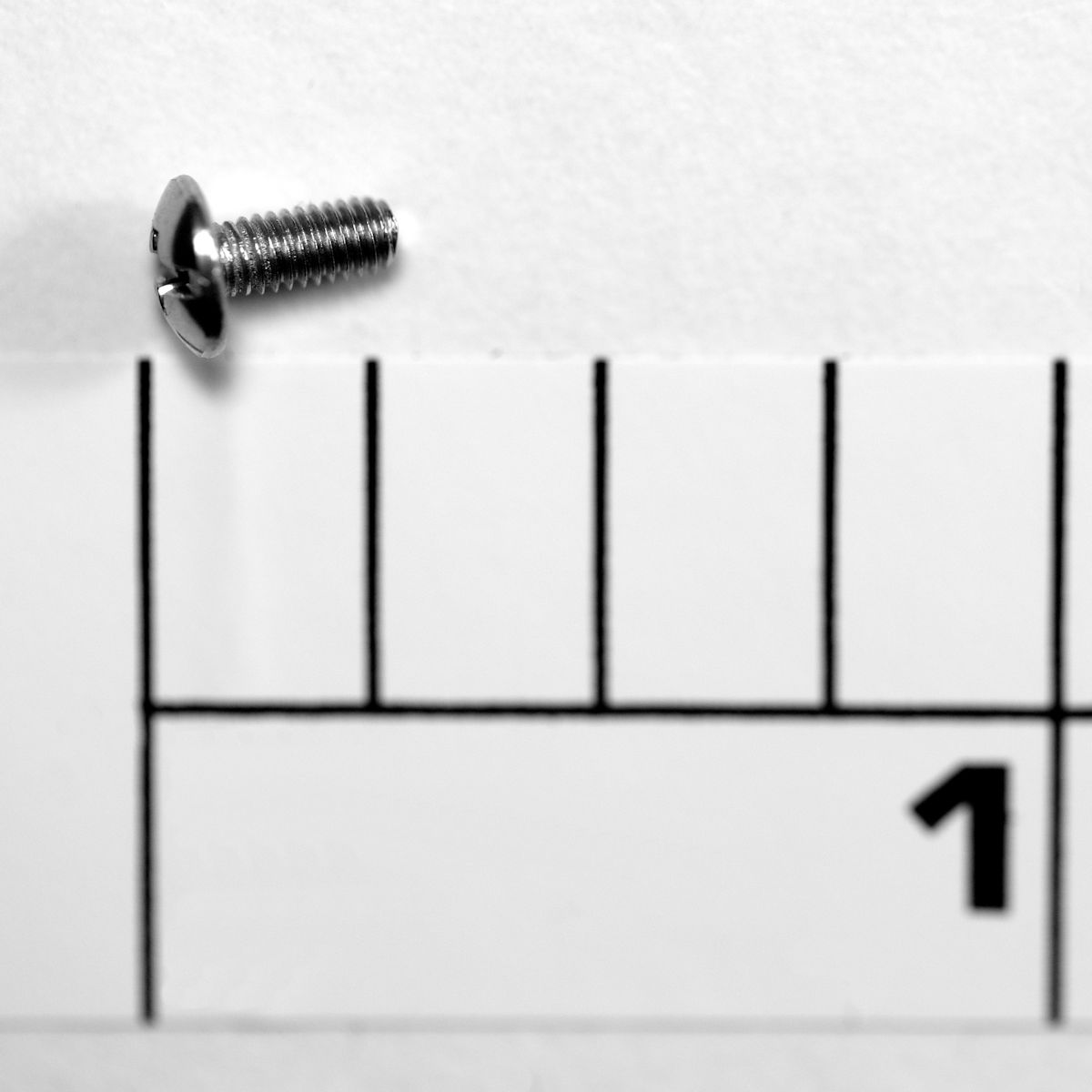 22-2000SG Screw