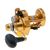 Penn TRQ15LD2 Torque 2-Speed Reel