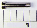 17-114 Screw, Upper Bridge Screw (uses 2)
