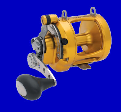 Click to view larger