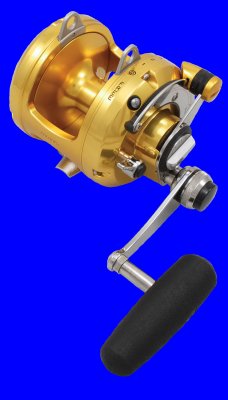 Click to view larger