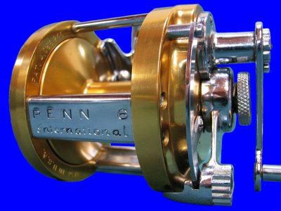 Click to view larger